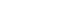 Be My Guest Tesla Be My Guest Tesla